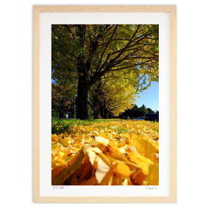 ŉ H̋Ǖ (toshikazu)CeA Ǌ| z i |X^[ A[g rO ւɏ  v[g _ A[gt[