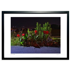 版画 赤い花 (滑田 雅春)インテリア 壁掛け 額入り 風景画 ポスター アート リビング 玄関に飾る 風水 プレゼント モダン アートフレーム