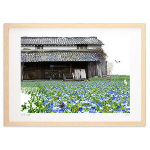 yX[p[SALEzzŉ birds eye(IICkmtOj (N)