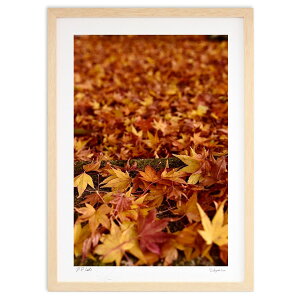 ŉ gt (mitan)CeA Ǌ| z i |X^[ A[g rO ւɏ  v[g _ A[gt[