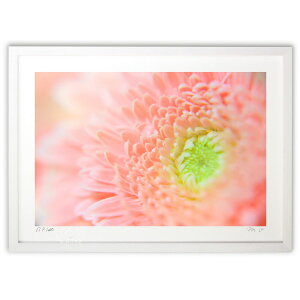 yX[p[SALEzzŉ sÑK[x (m.o)CeA Ǌ| z i |X^[ A[g rO ւɏ  v[g _ A[gt[