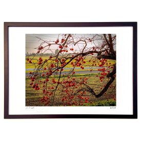 【スーパーSALE半額】版画 柿 (白ウサギ)インテリア 壁掛け 額入り 風景画 ポスター アート リビング 玄関に飾る 風水 プレゼント モダン アートフレーム