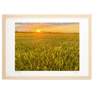 ŉ F̑ (|{s)CeA Ǌ| z i |X^[ A[g rO ւɏ  v[g _ A[gt[