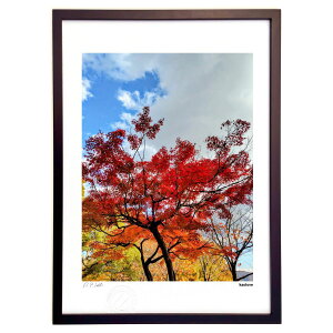 ŉ gt (kaolove)CeA Ǌ| z i |X^[ A[g rO ւɏ  v[g _ A[gt[