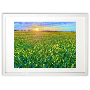 ŉ P̗[Ă (|{s)CeA Ǌ| z i |X^[ A[g rO ւɏ  v[g _ A[gt[