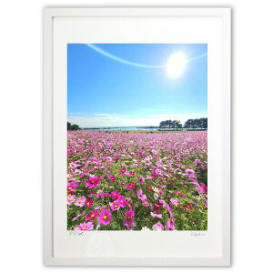 ŉ RXX (Rito)CeA Ǌ| z i |X^[ A[g rO ւɏ  v[g _ A[gt[