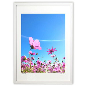 ŉ RXX (Rito)CeA Ǌ| z i |X^[ A[g rO ւɏ  v[g _ A[gt[