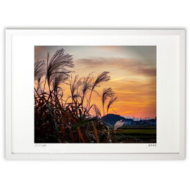 【スーパーSALE半額】【作家からの作品説明】秋の夕暮れススキと夕焼け空白ウサギ
