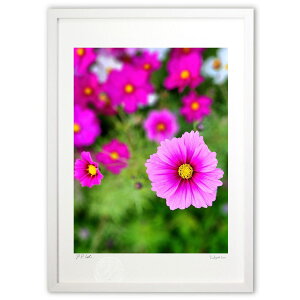 ŉ RXX (Rito)CeA Ǌ| z i |X^[ A[g rO ւɏ  v[g _ A[gt[