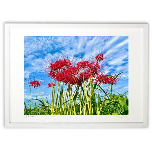 ŉ J̔ފ݉ԂƏH (|{s)CeA Ǌ| z i |X^[ A[g rO ւɏ  v[g _ A[gt[