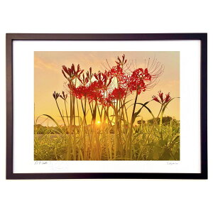 ŉ [zƔފ݉ (|{s)CeA Ǌ| z i |X^[ A[g rO ւɏ  v[g _ A[gt[