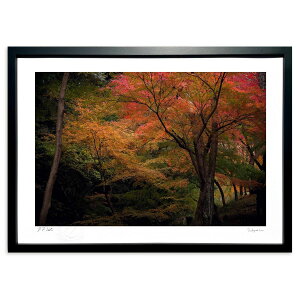 ŉ gt̒J (ramble)CeA Ǌ| z i |X^[ A[g rO ւɏ  v[g _ A[gt[