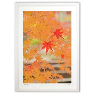 版画 優しい紅葉 (mitan)インテリア 壁掛け 額入り 風景画 ポスター アート リビング 玄関に飾る 風水 プレゼント モダン アートフレーム