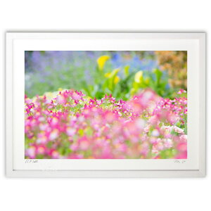 yX[p[SALEzzŉ 킢iF (m.o)CeA Ǌ| z i |X^[ A[g rO ւɏ  v[g _ A[gt[