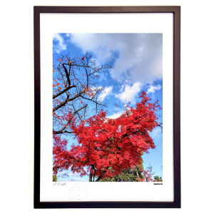 ŉ gt (kaolove)CeA Ǌ| z i |X^[ A[g rO ւɏ  v[g _ A[gt[