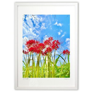 ŉ J̔ފ݉ԂƏHicj (|{s)CeA Ǌ| z i |X^[ A[g rO ւɏ  v[g _ A[gt[