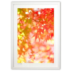 ŉ  `X^E^E]̒B^UPIgt̃~Wycz (Kyoko.Abe)