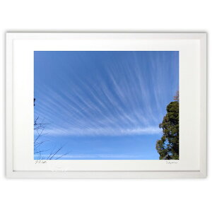 yX[p[SALEzzyƂ̍iz̕ [_Е ႤpxʂĂ܂B傫͋B