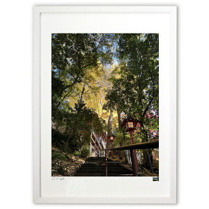 yX[p[SALEzzŉ ̋ (}bL[)CeA Ǌ| z i |X^[ A[g rO ւɏ  v[g _ A[gt[