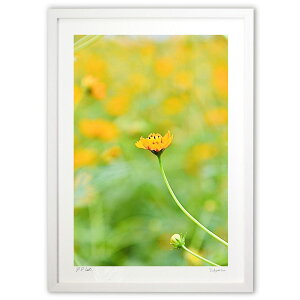 ŉ ԏH (mitan)CeA Ǌ| z i |X^[ A[g rO ւɏ  v[g _ A[gt[