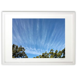 yƂ̍iz傫ȗ_[_ЂɍsƋɑ傫ꂽ_傫Ă邱&