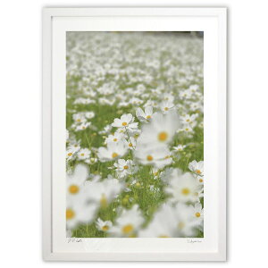 ŉ RXX (mitan)CeA Ǌ| z i |X^[ A[g rO ւɏ  v[g _ A[gt[