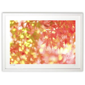 ŉ  `X^E^E]̒B^UPIgt̃~Wyz (Kyoko.Abe)