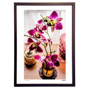 ŉ Ԃy (kaolove)CeA Ǌ| z i |X^[ A[g rO ւɏ  v[g _ A[gt[