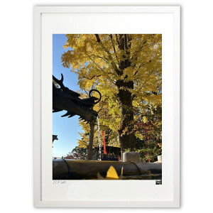 ŉ _ (}bL[)CeA Ǌ| z i |X^[ A[g rO ւɏ  v[g _ A[gt[