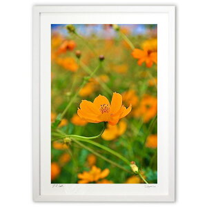 ŉ ԏH2 (mitan)CeA Ǌ| z i |X^[ A[g rO ւɏ  v[g _ A[gt[