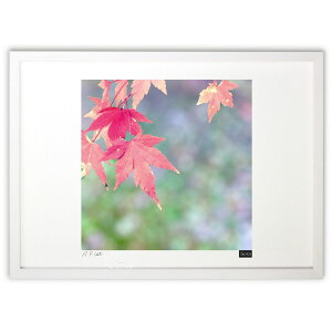 ŉ gt ()CeA Ǌ| z i |X^[ A[g rO ւɏ  v[g _ A[gt[