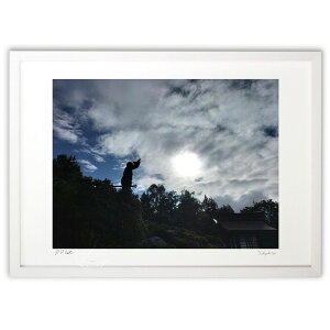 ŉ O_Ё@{ ()CeA Ǌ| z i |X^[ A[g rO ւɏ  v[g _ A[gt[