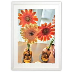 ŉ  (kaolove)CeA Ǌ| z i |X^[ A[g rO ւɏ  v[g _ A[gt[