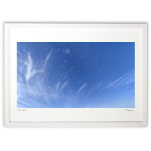 ŉ _@ ()CeA Ǌ| z i |X^[ A[g rO ւɏ  v[g _ A[gt[