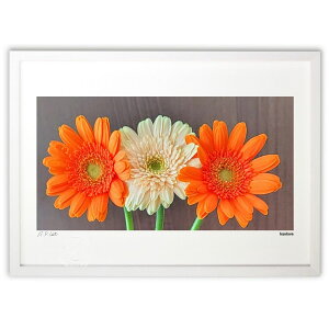 版画 花 (kaolove)インテリア 壁掛け 額入り 風景画 ポスター アート リビング 玄関に飾る 風水 プレゼント モダン アートフレーム