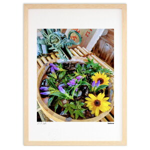 ŉ  (kaolove)CeA Ǌ| z i |X^[ A[g rO ւɏ  v[g _ A[gt[