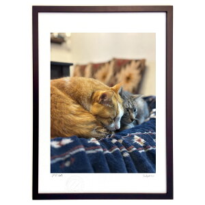 ŉ ~̕ (ruharu)CeA Ǌ| z i |X^[ A[g rO ւɏ  v[g _ A[gt[