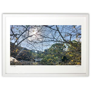 ŉ [_ ()CeA Ǌ| z i |X^[ A[g rO ւɏ  v[g _ A[gt[