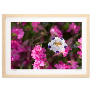 版画 ミツバチの休憩 (m.o)インテリア 壁掛け 額入り 風景画 ポスター アート リビング 玄関に飾る 風水 プレゼント モダン アートフレーム