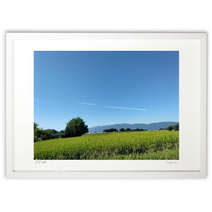 ŉ 삯 ()CeA Ǌ| z i |X^[ A[g rO ւɏ  v[g _ A[gt[