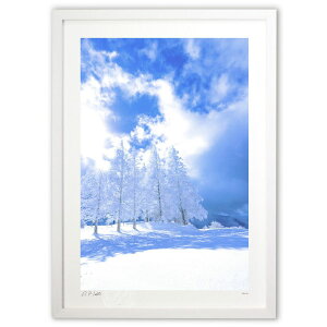 ŉ  单^E^E^UPIR̎X (Kyoko.Abe)