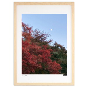 版画 月と紅葉 (そら)インテリア 壁掛け 額入り 風景画 ポスター アート リビング 玄関に飾る 風水 プレゼント モダン アートフレーム