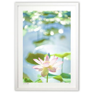 ŉ  Xs`A^UPI_ȃnXNo.1 (Kyoko.Abe)