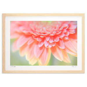 ŉ K[x̉Ԃт (m.o)CeA Ǌ| z i |X^[ A[g rO ւɏ  v[g _ A[gt[