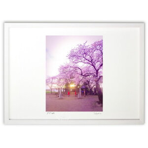 ŉ ta (DJ)CeA Ǌ| z i |X^[ A[g rO ւɏ  v[g _ A[gt[