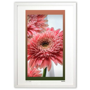 ŉ Ԃ (kaolove)CeA Ǌ| z i |X^[ A[g rO ւɏ  v[g _ A[gt[