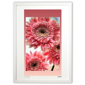 版画 花を飾る (kaolove)インテリア 壁掛け 額入り 風景画 ポスター アート リビング 玄関に飾る 風水 プレゼント モダン アートフレーム