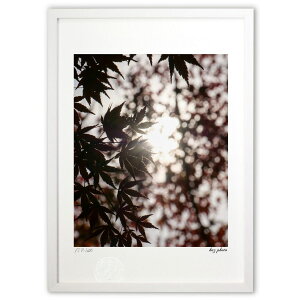 ŉ gt (kaz photo)CeA Ǌ| z i |X^[ A[g rO ւɏ  v[g _ A[gt[