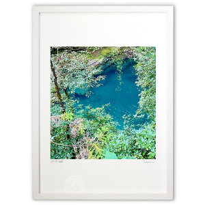 ŉ X̉̐umu[v (|{s)CeA Ǌ| z i |X^[ A[g rO ւɏ  v[g _ A[gt[