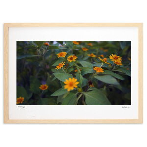 版画 お花が主役 (岩ちゃん)インテリア 壁掛け 額入り 風景画 ポスター アート リビング 玄関に飾る 風水 プレゼント モダン アートフレーム